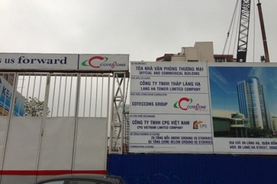 Bí ẩn ông chủ thực của dự án tháp FPT 30 triệu USD